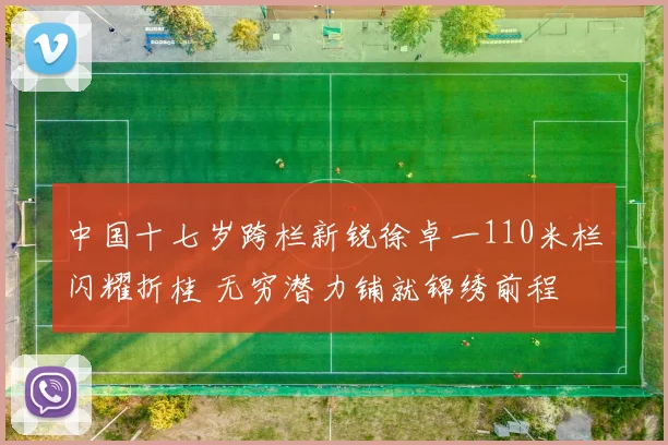 中国十七岁跨栏新锐徐卓一110米栏闪耀折桂 无穷潜力铺就锦绣前程