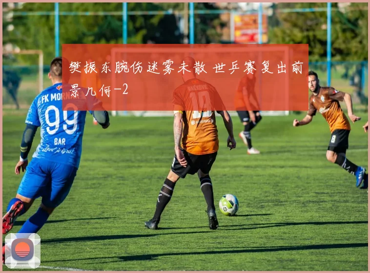樊振东腕伤迷雾未散 世乒赛复出前景几何