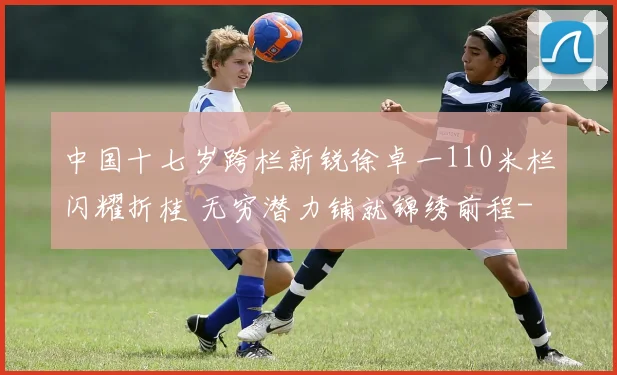 中国十七岁跨栏新锐徐卓一110米栏闪耀折桂 无穷潜力铺就锦绣前程